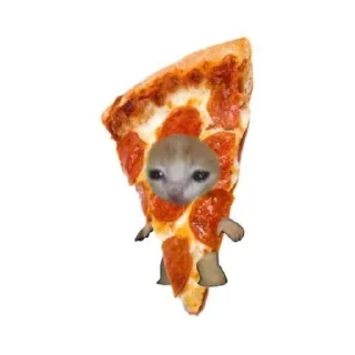 😺 emoji ceng @muhammadelang Telegram sticker 3 of 19