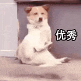 😊 emoji 更多表情 @appmail 频道搜索 @S_Suo8 Telegram sticker 22 of 50
