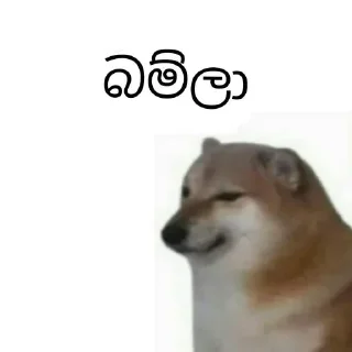 😂 emoji Cheems Sinhala Version by @HARP_Tech 🇱🇰 Telegram sticker 6 of 7