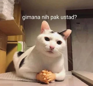 😕 emoji orang keren Telegram sticker 5 of 46