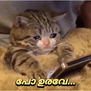 🥺 emoji @Zayn_Farseen 𝚙𝚊𝚌𝚔 💜 Telegram sticker 10 of 109