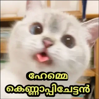 😝 emoji @Zayn_Farseen 𝚙𝚊𝚌𝚔 💜 Telegram sticker 13 of 109