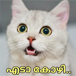 😝 emoji @Zayn_Farseen 𝚙𝚊𝚌𝚔 💜 Telegram sticker 12 of 109