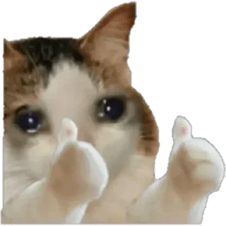 🥺 emoji YnotMe's Favorites (@CalsiBot) Telegram sticker 22 of 48
