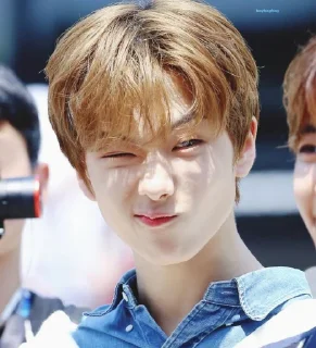⏳ emoji Park Jisung ⌇ @WCINTERBEAR Telegram sticker 17 of 20