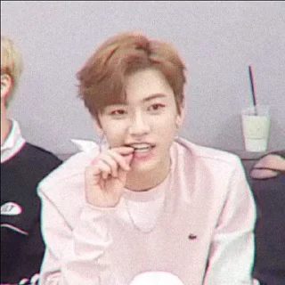🦋 emoji jaemin scfty 🌱 : : @stickernct : : Telegram sticker 6 of 24