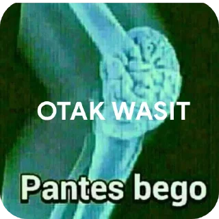 😀 emoji yang nyolong titisan yahudi Telegram sticker 20 of 59