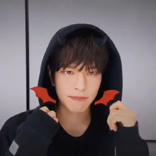 🧚‍♀ emoji seungmin Telegram sticker 16 of 33