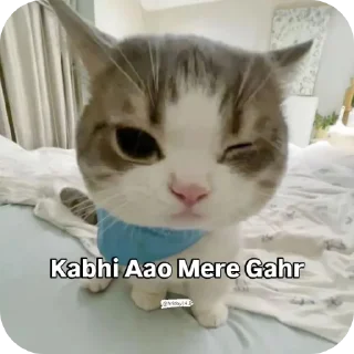 🐱 emoji Babu Telegram sticker 18 of 44