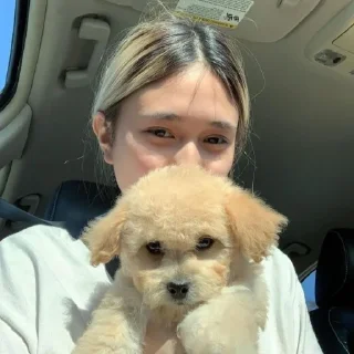 Sticker from .・NONCHR RPI・. @SUNXFLOWERSS