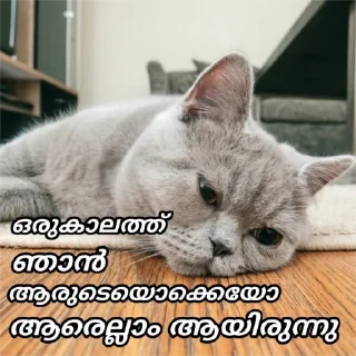 😔 emoji [ @S_i_Bi & @meghaloo ] Telegram sticker 5 of 80