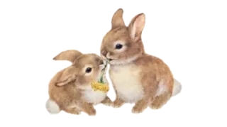 Sticker from 𝓕awnBerry ✧ — @inmcjhome