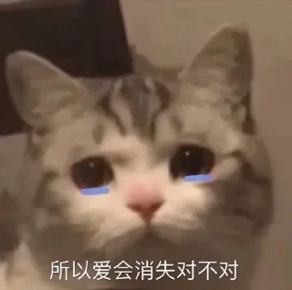 👀 emoji @Tkiliay 的私藏 (4) Telegram sticker 16 of 120