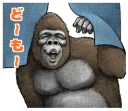 😯 emoji Gorilla gorilla @stickerscar Telegram sticker 17 of 40