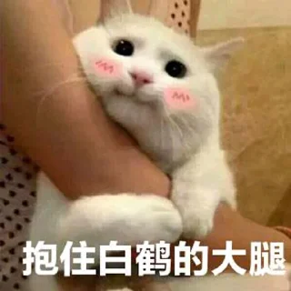 😍 emoji 权威发布之狗推江湖 Telegram sticker 9 of 110