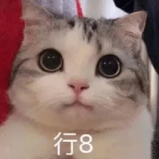 😑 emoji 小动物能有什么坏心眼呢 @xiaotianxinya Telegram sticker 17 of 74