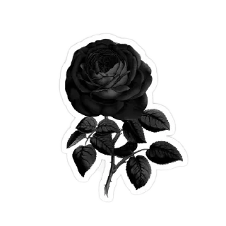 👍 emoji @nervouits baskaraباسكارا @contenbreathe @fStikBot Telegram sticker 18 of 38