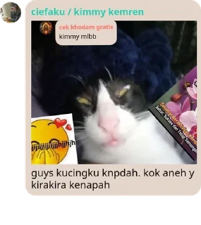 🐱 emoji mina gagah pemberani @ixdea Telegram sticker 18 of 85