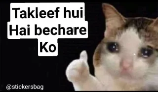 🥲 emoji Cat memes🌟💖 @itsmelegend Telegram sticker 24 of 95