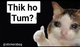 🥲 emoji Cat memes🌟💖 @itsmelegend Telegram sticker 9 of 95