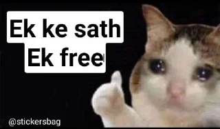 🥲 emoji Cat memes🌟💖 @itsmelegend Telegram sticker 17 of 95