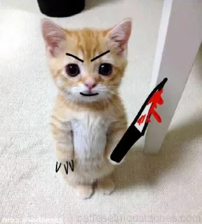 🔪 emoji dudul gemes kata alin Telegram sticker 10 of 17
