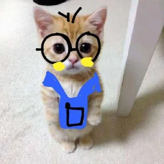 😵‍💫 emoji dudul gemes kata alin Telegram sticker 14 of 17
