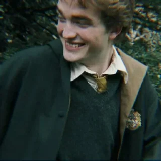 🦝 emoji Cedric Diggory @alohom0ra Telegram sticker 16 of 24