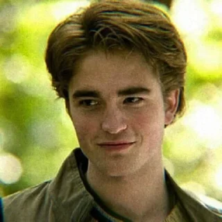 🦝 emoji Cedric Diggory @alohom0ra Telegram sticker 5 of 24