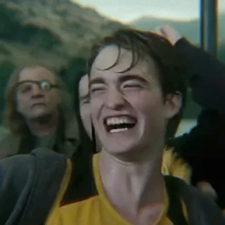 🦝 emoji Cedric Diggory @alohom0ra Telegram sticker 15 of 24