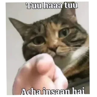 🐱 emoji RONIT YADAV Telegram sticker 7 of 59