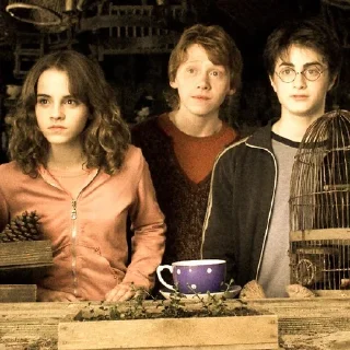 🎃 emoji Golden Trio @POTTERHOUSE Telegram sticker 18 of 37