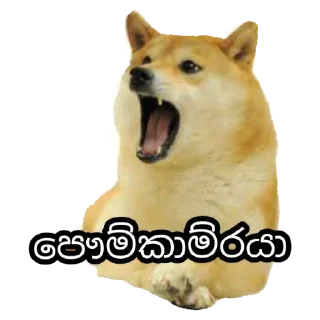 😡 emoji [🇱🇰] @Black_Prince_SL 💋 𝗦𝗧𝗜𝗖𝗞𝗘𝗥𝗦 [🇱🇰] Telegram sticker 6 of 33