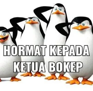 🌟 emoji Pinguin Pekob @fforceji Telegram sticker 22 of 52