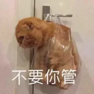 🍭 emoji 🌺AG集团招商🇨🇳夏天  @ga8866 Telegram sticker 19 of 120