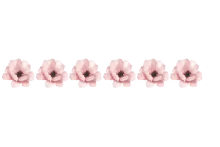 Sticker from @MyTelegramThemes ofc