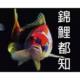 😒 emoji 锦鲤表情包 Telegram sticker 13 of 85