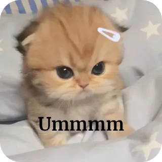 🐱 emoji ಕುಕೀ >>🌻🌃 @cokipfp Telegram sticker 6 of 45