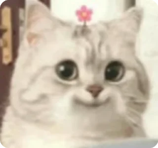 🌟 emoji Крыса обосанная 🐀 Telegram sticker 14 of 107
