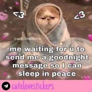 🥺 emoji Wholesome Love 💜 @cutelovestickers Telegram sticker 6 of 93