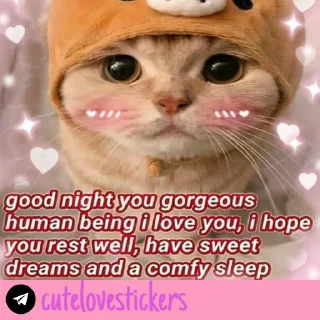 🥺 emoji Wholesome Love 💜 @cutelovestickers Telegram sticker 8 of 93