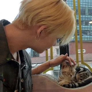 🐱 emoji ଳ shimura | kael's ೄྀ Telegram sticker 22 of 106