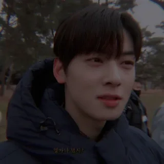 🦅 emoji ⎙ ⁝ cha eun-woo @oceanbea 〄 ִֶָ Telegram sticker 24 of 41