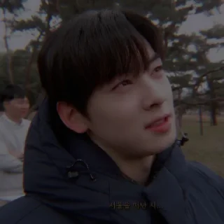 🦅 emoji ⎙ ⁝ cha eun-woo @oceanbea 〄 ִֶָ Telegram sticker 23 of 41