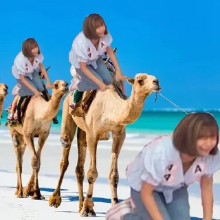 🐫 emoji Jihyoe Telegram sticker 8 of 25