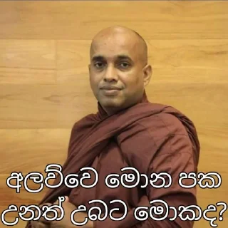 🌸 emoji අලව්ව Telegram sticker 17 of 26