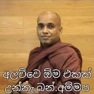 🌸 emoji අලව්ව Telegram sticker 15 of 26