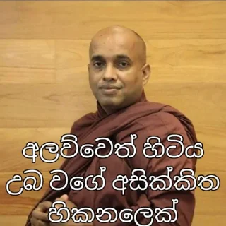 🌸 emoji අලව්ව Telegram sticker 22 of 26
