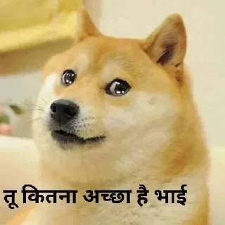 😂 emoji Dogee pamk  @r_squared_rishabh Telegram sticker 19 of 120