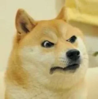 🤨 emoji Cheems Doge @Evl_Emperor Telegram sticker 12 of 28